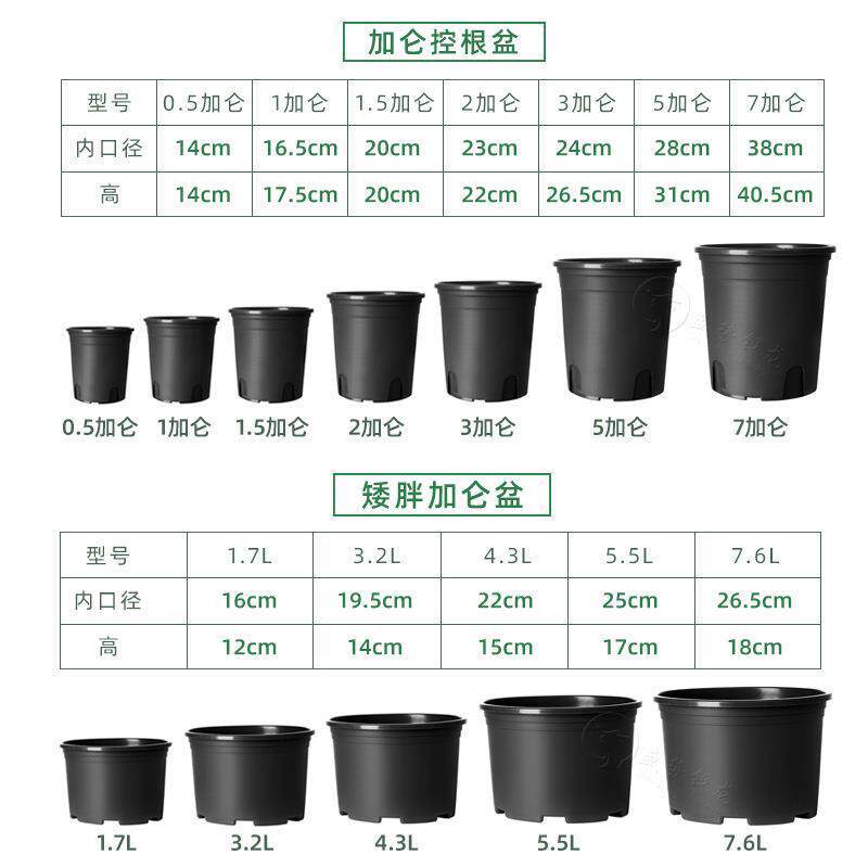 黑色加仑盆控根月季种植育苗二代基地黑桶盆塑料花盆