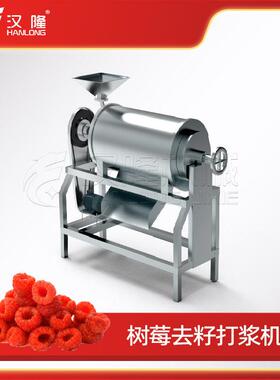 厂家优惠促销大型工业树莓去皮去核道加工设备水果破碎打浆机