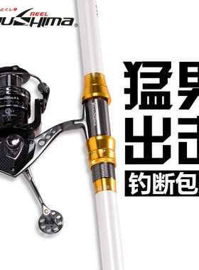 德岛帕鲁斯远投竿套装海钓竿碳素海杆超硬抛竿渔轮套装甩杆鱼竿