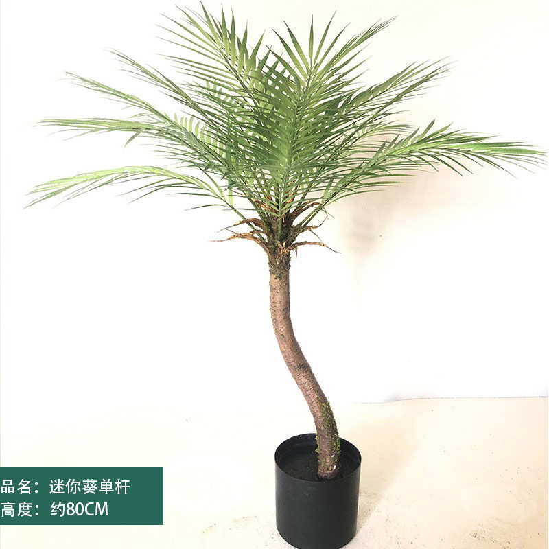 植植仿真迷你仿真假绿植尾带散散绿盆盆栽葵绿葵尾葵造景植绿客厅