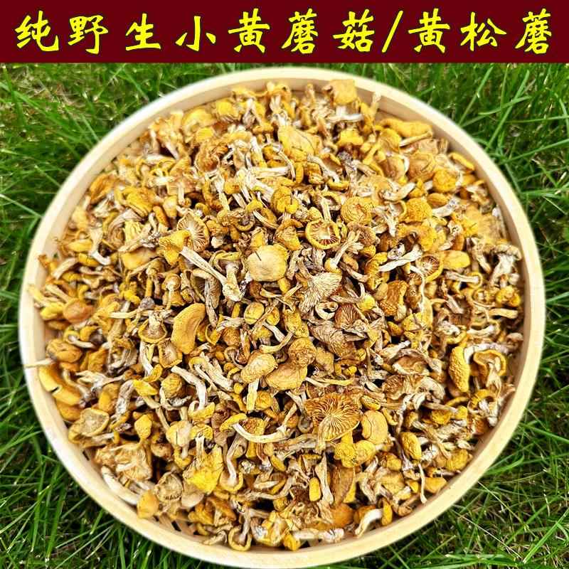 东北野生小黄蘑菇干货黄松蘑黄油蘑菇口感嫩滑煲汤炖鸡干菌菇500g