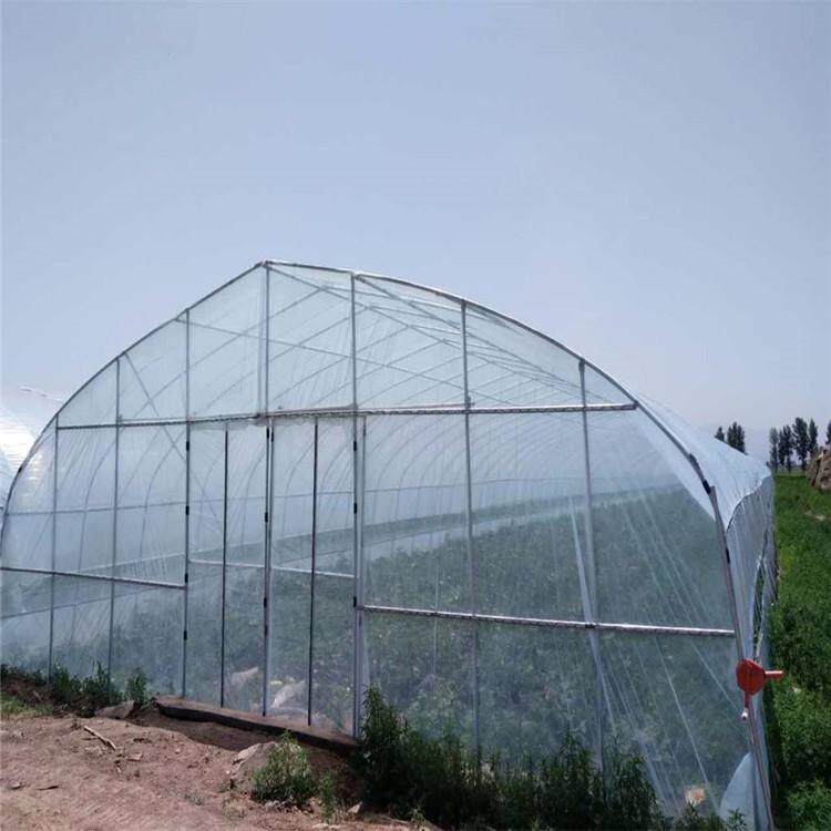 圆拱形po膜覆盖薄膜温室智能双拱双模圆拱形拱棚菊花种植育苗基地