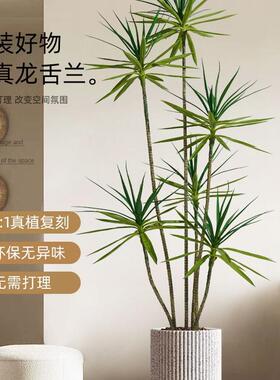 假绿植龙血树轻件奢F97TT696植物室客厅装饰落地大内摆型仿生花树