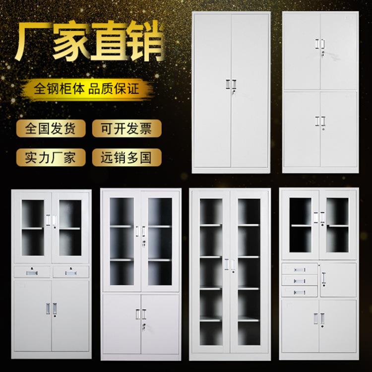 重庆钢制办公文件柜档案柜铁皮柜书柜带锁储物柜凭证柜资料整理柜