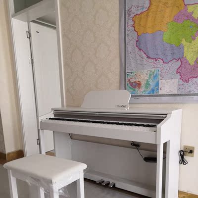 如何评价TheONE和卡西欧电钢琴比，应该选择谁呢？