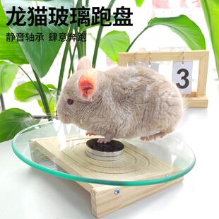 龙猫玻璃跑盘静音跑轮玩具磨甲转轮28cm直径悬挂造景龙猫静音专用