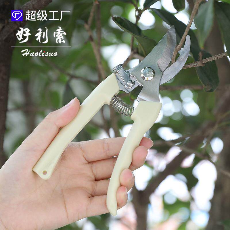 果树剪刀树枝修枝剪园艺剪修花工具疏果修果树果园园林修剪粗枝剪