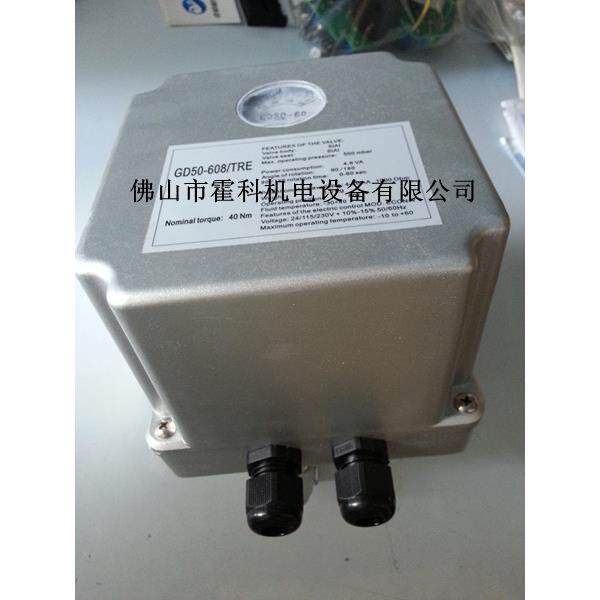 GD电动执行器GD50-603/TRE，GD50-606/TRE，GD50-608/TRE