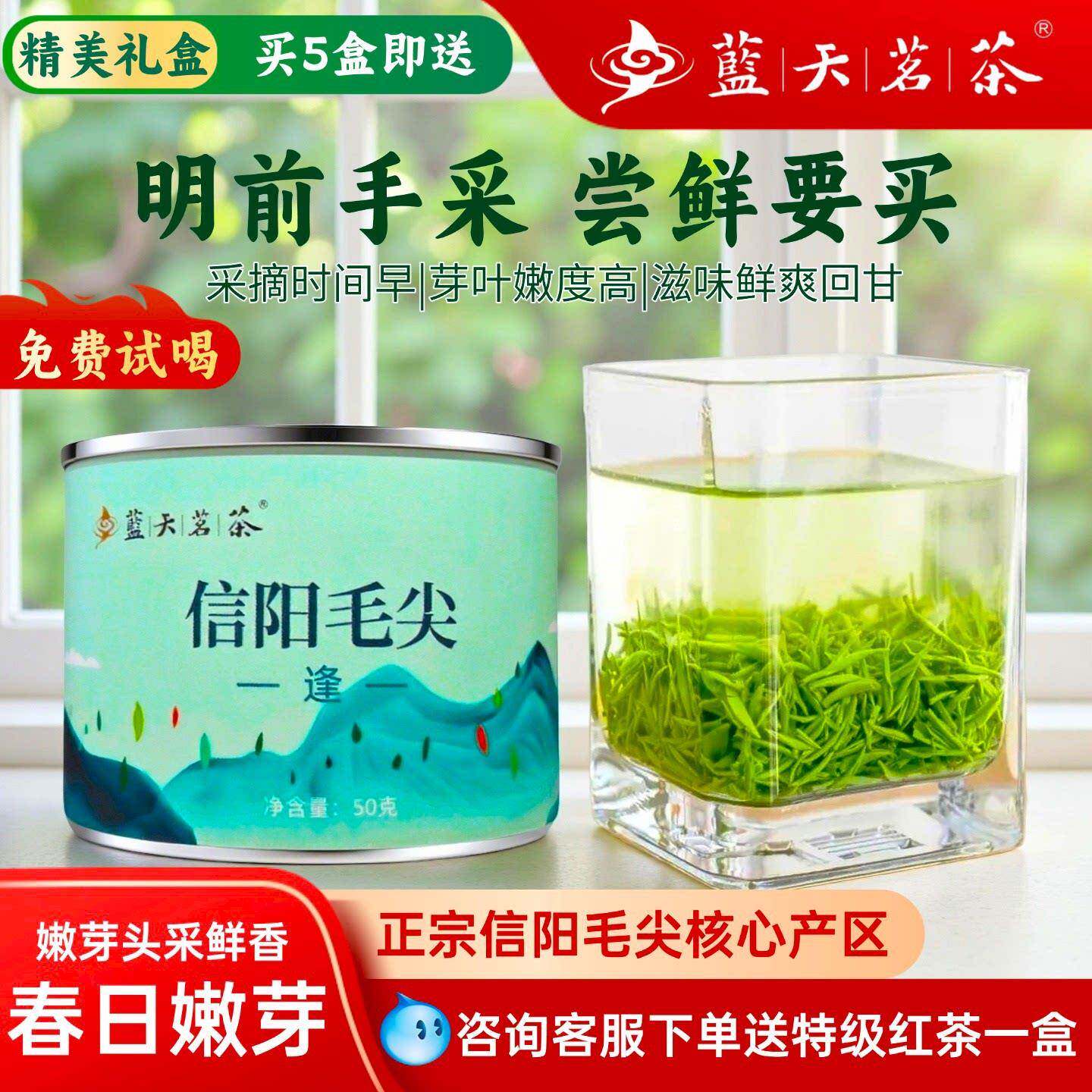 春茶上市蓝天茗茶信阳毛尖绿茶2025新茶叶明前特级嫩芽叶罐装50g