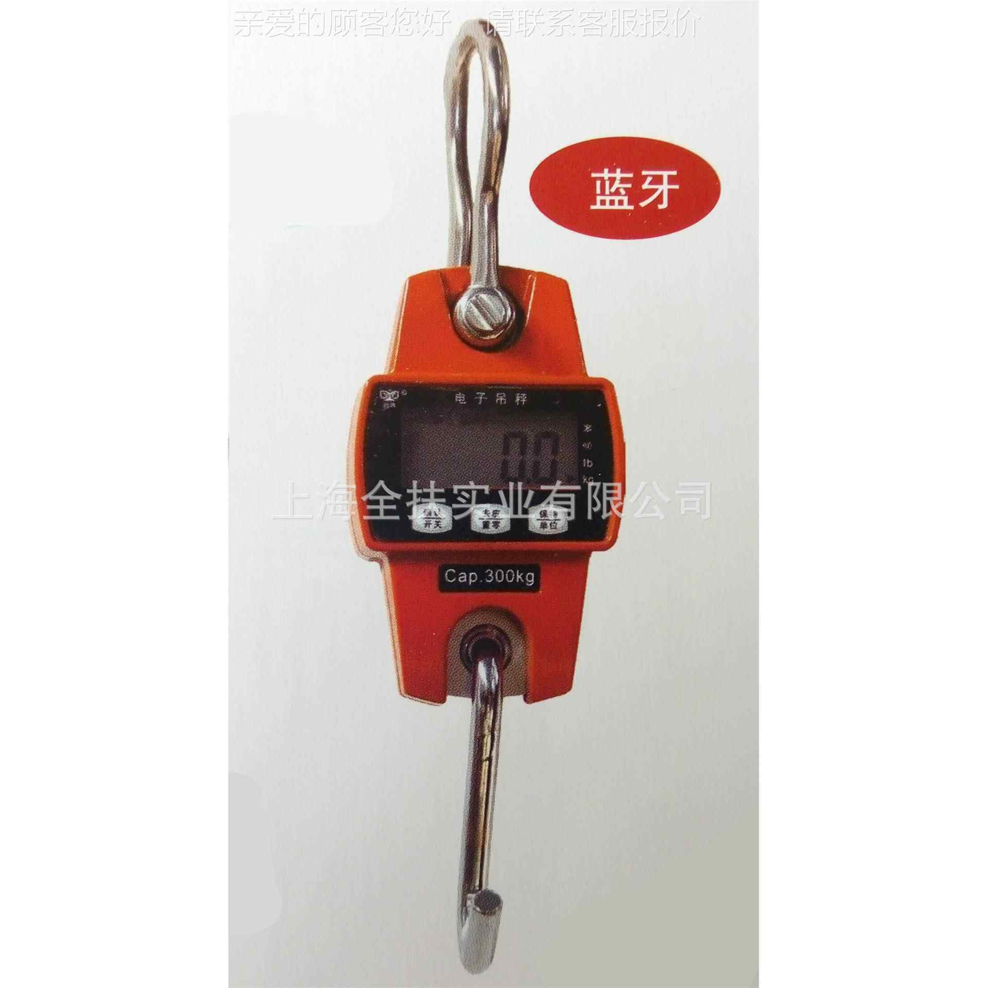 300kg-50OCS-300携0k便g直吊秤 携式电子吊秤 小型视精美便电子吊