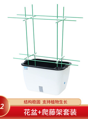 吸水花盆家庭阳台种菜盆专用箱水培蔬菜种植箱菜架子塑料懒人花箱