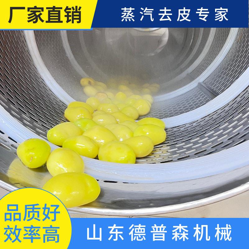 大型土豆葡萄蒸汽去皮机商用全自动莲藕猕猴桃去皮设备