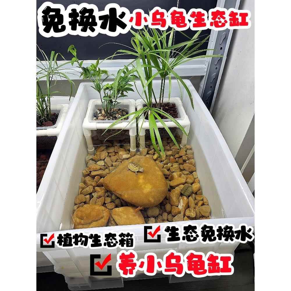 免换水生态养龟箱定植篮植物种植生态箱小乌龟草龟巴西龟养殖龟缸
