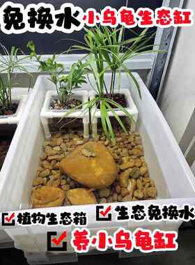 免换水生态养龟箱定植篮植物种植生态箱小乌龟草龟巴西龟养殖龟缸