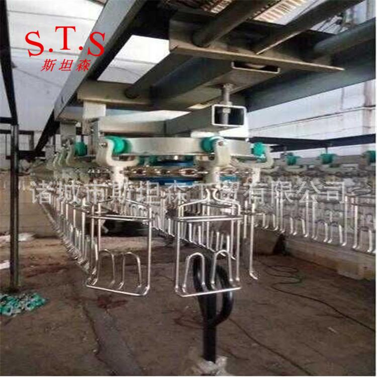 宰H鸽水子自动屠宰流STS-LSX线自动子杀流水线报鸽价可定制
