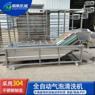 全自动气泡清洗机 小龙虾蔬菜商用清洗设备 果蔬大型清洗机