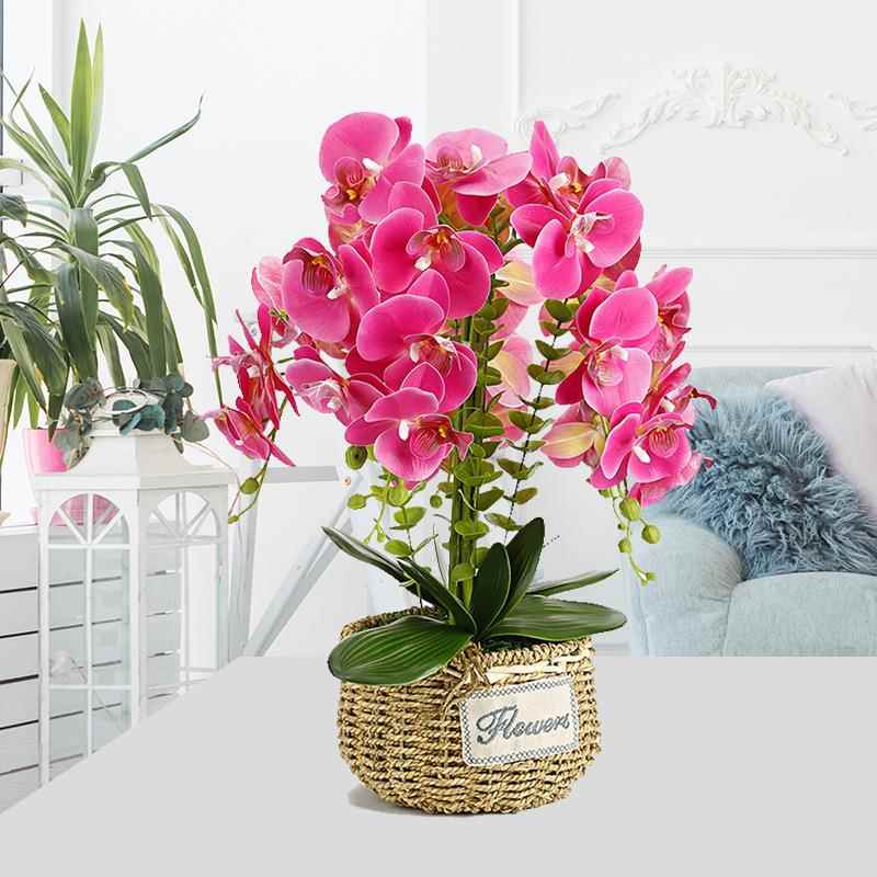 MWW蝴兰盆景假花客厅摆装饰卧室仿内真绿设植餐桌摆件大盆栽干花