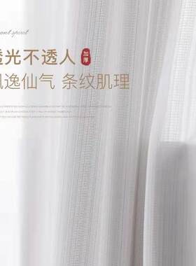 新款高级感纱帘竖条纹韩国纱透光不透人窗纱加厚阳台客厅飘窗窗纱