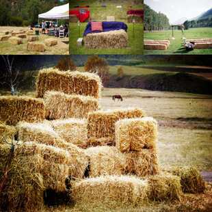 牛草麦草垛草堆草墩稻草垛子婚庆装饰拍摄道具包邮方圆形草垛凳子