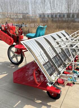 跨境独轮乘坐柴油高速插秧机源头厂家6/8行全自动新款插秧机