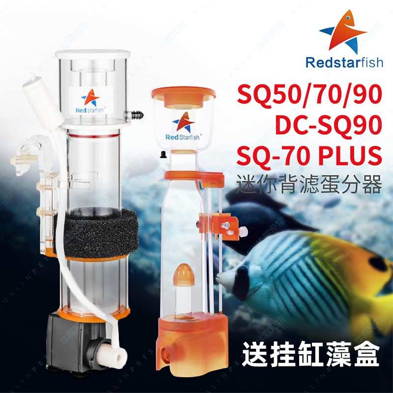 红海星海缸蛋分珊瑚缸蛋过滤器背滤小缸海水鱼缸内置蛋白质分离器