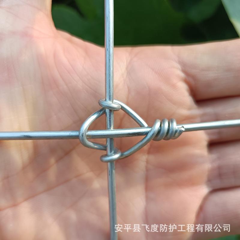 热镀锌铁丝网Y现货厂家SFZ地养圈羊草原网护栏网型立柱养殖鹿专用