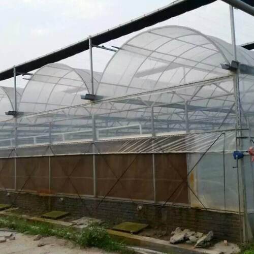 性价比高智能po膜薄膜温室智能双拱双模圆拱形拱棚菊花育苗基地