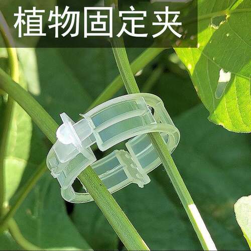 Green plant and fruit tree fixation clips, vine fasteners, s