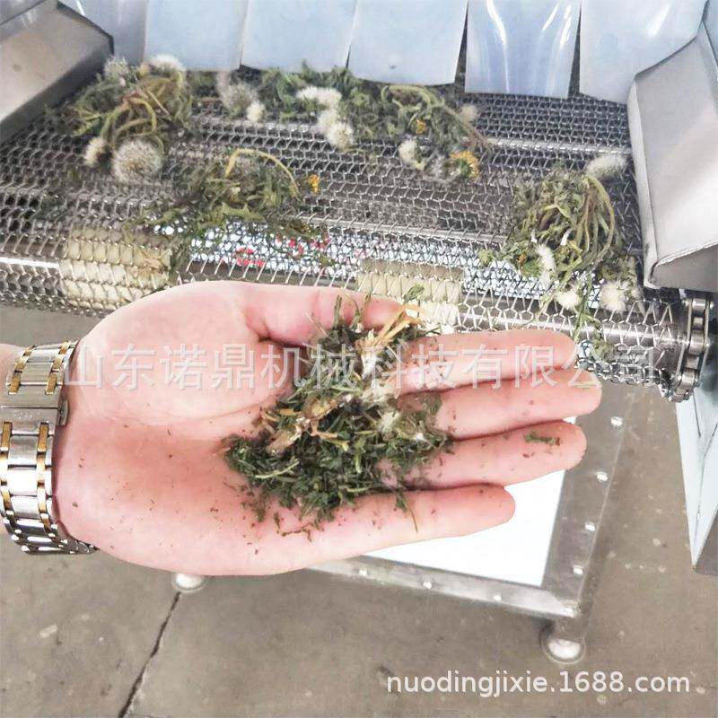 绿叶菜烘干机 地瓜叶子烘干机  连续式网带烘干设备 可定制烘干机
