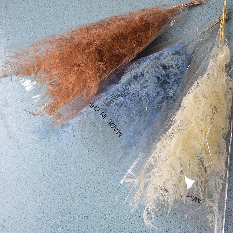 永生干花文竹绿色树枝空间设计插花材料花艺配草婚礼橱窗装饰布置