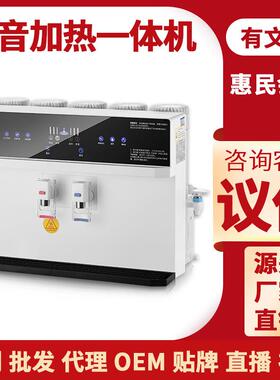 智能大屏语音加热一体机净水器家用直饮净饮机RO反渗透冷热饮水机