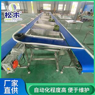 红玉大小西瓜香瓜称重分级包装 柚子榴莲葡萄无损分选机 流水线