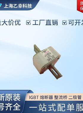 巴斯曼熔断器 170M6611 170M6612 170M6613 170M6614 170M6615