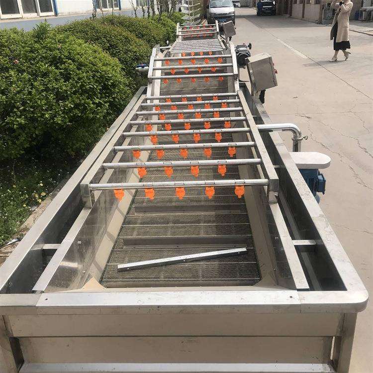 菠萝枇杷清洗机 使用各类水果蔬菜的气泡喷淋清洗设备 厂家直售