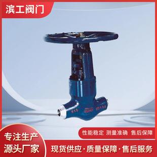 锻钢法兰止回阀H41H 高温升降式止回阀 高压锻钢止回阀 锻钢阀门
