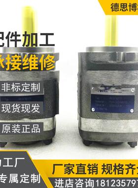 VIOTH德国福伊特原装进口高压内齿轮泵IPV4-25-171摊铺机油压机泵
