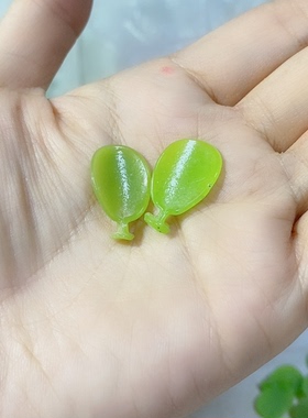 老料器花瓣发簪材料绿色圆花瓣20片Q-22