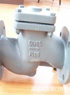 供应止回阀升降式止回阀铸钢材质H41H-16CDN200