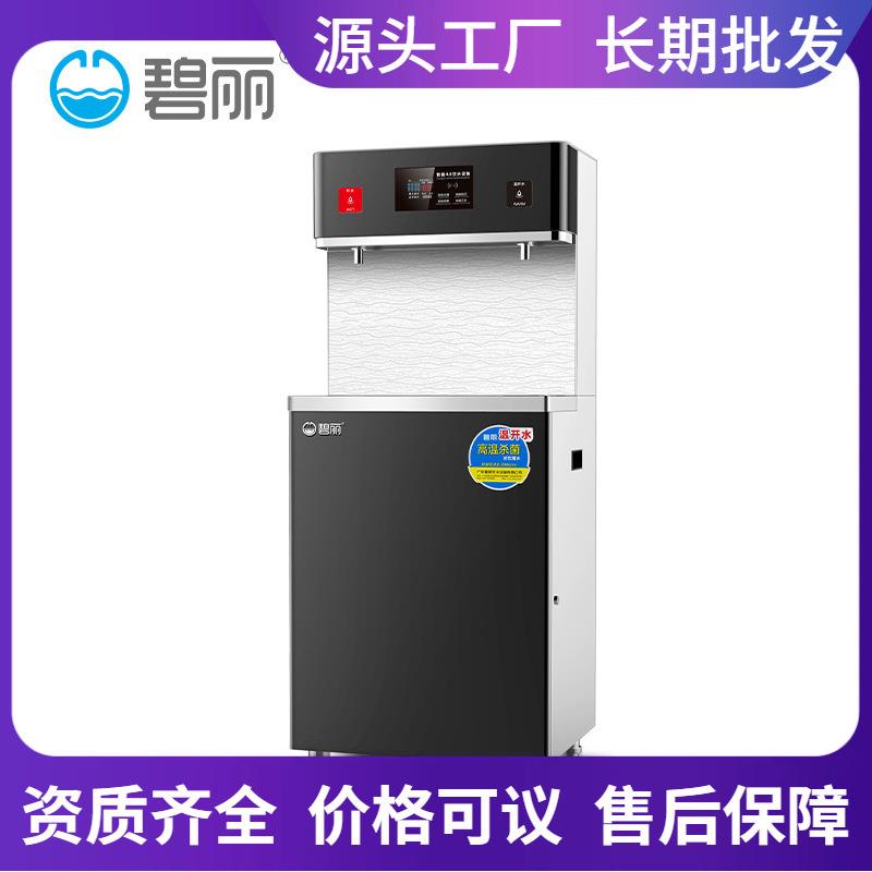 广东碧丽净水机滤芯校园学生不锈钢节能智能饮水机学校新款