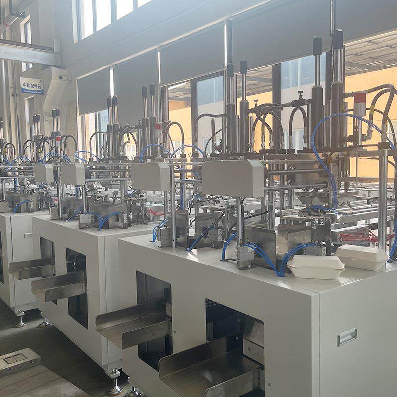 外卖打包盒餐盒机双工位一体成型机水果盒成型机淋膜纸盒