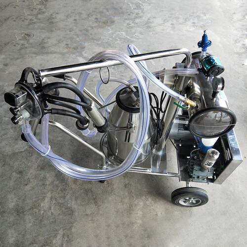 牛用单桶真空脉动式挤奶机脉动式奶牛挤奶机奶牛挤奶设备