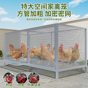 鹅笼大笼狗鸡笼自动鸭笼笼子直发大号滚蛋笼鹅厂家加粗养殖折叠狗