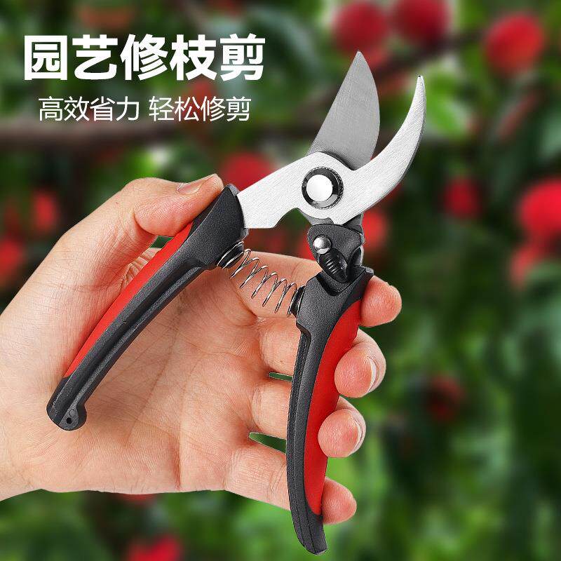 园艺修枝剪不锈钢剪盆景果树修枝剪多功能葡萄花椒剪园林工具