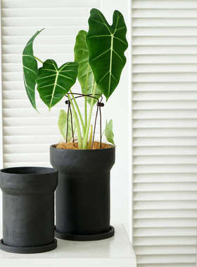 北欧高黑色水泥花盆大兰花黑陶陶瓷海芋陶土高款高脚日式陶盆