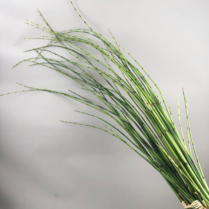 仿真竹节草加长木贼花艺装饰插花配材摆件客厅绿植摆设酒店细竹