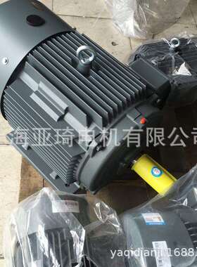 1TL0003-1DB23-3AA5-11KW-4-B3电机