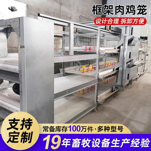 厂家生产三层立式肉鸡笼全自动化鸡笼养殖场养鸡设备全自动清粪