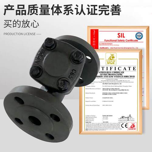 锻钢Y型过滤器GL41H-16C 蒸汽高温高压法兰A105锻造DN15 20 25 32