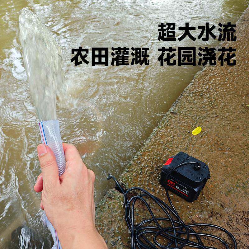 21V锂电池抽水泵小型农直家用抽水自小水泵流潜水泵力锐（五吸泵