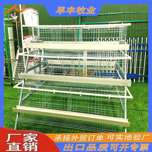 鸡笼家用蛋鸡养殖设备三层阶梯蛋鸡笼冷镀锌热镀自动饮水自动清粪